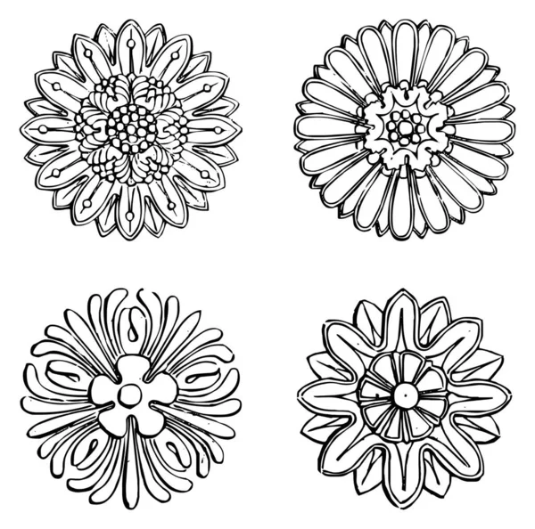 Black White Doodle Floral Ornaments Coloring Book Design Vector Elements — Stock Vector