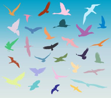 Flying Birds Flock Over The Blue Sky Horizon And Sea