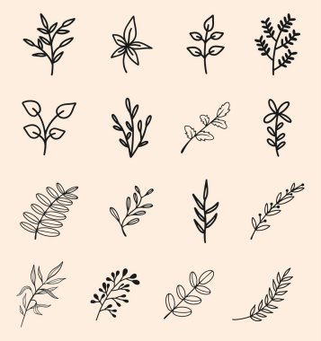 siyah ve beyaz monokrom yaprakları