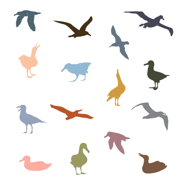 Albatros Kuş Simgesi Renkli Martılar Vektör Llüstrasyonu — Stok Vektör