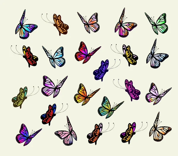 Sammlung Von Bunten Schmetterlingen Vektor Illustration — Stockvektor