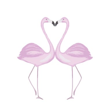 Pembe Flamingo Çift Vektör İllüstrasyonu