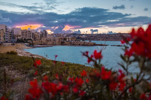美丽的夜晚 在圣保罗湾的Malta岛上 有着美丽的建筑 天空和花朵在前方 — 图库照片