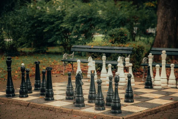 Королевский Размер Шахмат Улице Парке Черно Белые Фигурки Случайно Стоящие — стоковое фото