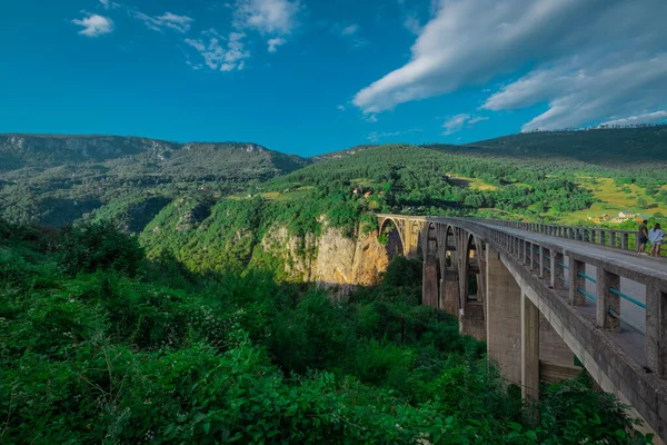Słynny Most Rzece Tara Czarnogórze Lub Crna Gora Wieczornym Słońcu — Zdjęcie stockowe