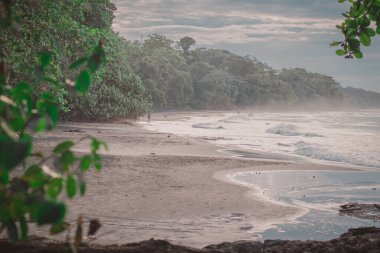 Kosta Rika 'da Playa Cocles ve Puerto Viejo yakınlarında güzel sörfleri olan güzel bir orman Karayip plajı. Çalıların arasından bak. - Puslu deniz ve sprey.