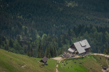 Golica dağındaki güzel dağ kulübesi yukarıdan görünüyor. Arka planda güzel orman var. Slovenya 'nın yeşil manzaralı dağ evleri