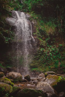 Panama 'nın Boquete bölgesindeki güzel şelaleye gizli şelale deniyor. Yeşilliklerle, kayalarla ve büyüleyici şelalelerle dolu güzel orman ortamları..