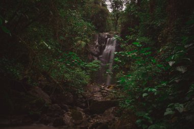 Panama 'nın Boquete bölgesindeki güzel şelaleye gizli şelale deniyor. Yeşilliklerle, kayalarla ve büyüleyici şelalelerle dolu güzel orman ortamları..