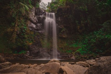 Panama 'nın Boquete bölgesindeki güzel şelaleye gizli şelale deniyor. Yeşilliklerle, kayalarla ve büyüleyici şelalelerle dolu güzel orman ortamları..