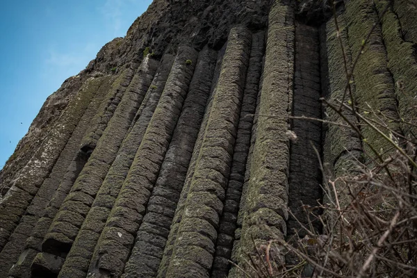 Панорама Шестикутних Каменів Органі Дамбі Гігантів Півночі Країни Величні Базальтові — стокове фото