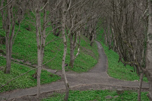 Grön Park Nära Demesne Downhill Norhtern Ireland Med Hel Del — Stockfoto