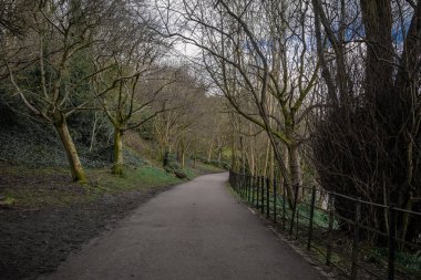 Glasgow Üniversitesi 'ne giden yol ilkbaharın başlarında üniversitenin yanındaki Park' taki Kelvin Nehri 'nin yanında. Yapraksız ağaçlar, çıplak ağaçlar..