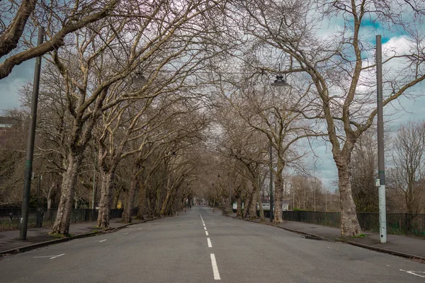 Schöne Allee Mit Kahlen Bäumen Glasgow Namens Kelvin Way Zeitigen — Stockfoto