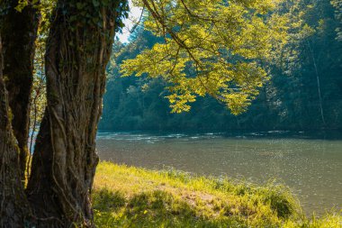 Beautiful kolpa river on the south border of slovenia, on a sunny day just after the rain has fallen as it can be seen from the white spots in the water.