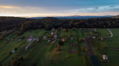 Slovenya 'nın Dolenjska bölgesindeki Reber köyünün güneşli bir akşam günbatımında, Zidanica adı verilen tipik tipik küçük evler veya hafta sonu evleri ağırlıklı olarak şarapçılık için kullanılıyor..