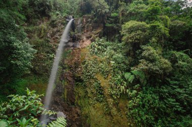 Panama 'nın Boquete bölgesindeki güzel tek şelaleye gizli şelale deniyor. Yeşillikler ve akan tek bir su akıntısıyla güzel bir orman ormanı..