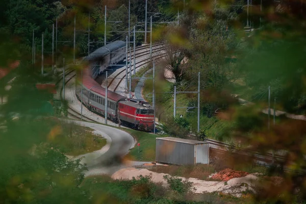 Tren vagonlu klasik yolcu treni bir yaz günü Rimske top bitleri tren istasyonunun önünden geçiyor. Trenin yaprakları arasından uzaklara bakıyorum..