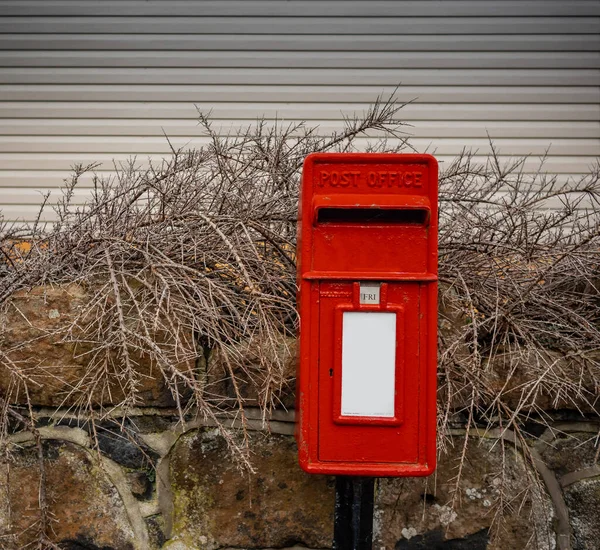 赤いメールボックス または曇りの日に北アイルランドのキャストロックの単一のポール 薄い木の葉に囲まれたメールボックス — ストック写真