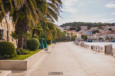 Sonbaharın güneşli bir gününde, Hırvatistan 'ın Losinj adasındaki Mali Losinj kentinin arka planında palmiyeler, diğer ağaçlar ve evler yer alıyor. Neredeyse hiç insan görünmüyor..