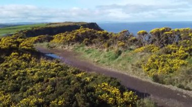 Kuzey İrlanda 'daki Giants geçidinde kayalıklardan, altıgen taşlardan ya da sütunlardan oluşan drone panorama bulutlu bir günde sahilde görkemli bazalt sütunlar. Alanın geniş görünümü..
