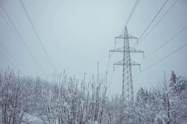 Electrical power lines in snow. Pylons for power distribution rising from snowy forest on a cloudy winter day. Snow is a hazard for electrical wires.