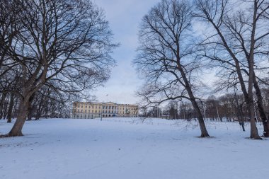 Oslo 'daki kraliyet sarayı soğuk bir kış gününde ağaçların arasından görünüyor. Gökyüzünün Oslo 'nun merkezinde sadece mavi, destansı bir evi var..