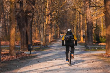 Parktaki yemyeşil bir caddede, kahverengi ağaçlarla sıralanmış bisiklete binen birinin arka görüntüsü.
