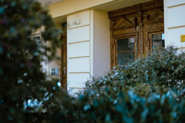 Berlin 'in merkezindeki çalıların arkasında saklanan eski ahşap kapı girişi. Berlin 'deki bir eve klasik giriş. Her yer yeşillik.