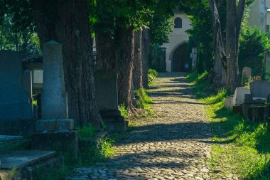 Romanya 'nın Sighisoara kentindeki Cimitirul Bisericii din anlaşmasının tepesine çıkan kaldırım taşı yolu. Romanya 'daki tepenin üstünde bir mezarlık.