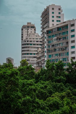 View from the Oran beachfront avenue towards the new city where skyscrapers and high rise hotels are situated, looking over the trees.