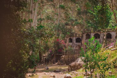 Remains of castle Don Pepe on the outskirts of Bouquete in the national park, central Panama. Castle surrounded by lush green forest and tall trees clipart