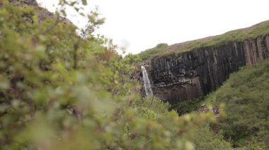 İzlanda 'daki Svartifoss şelalesinin yavaşlaması. Güzel şelale uzaktan görünüyor, dikey bazalt sütunlardan bir sürü su geliyor..