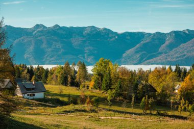 Beautiful panorama from Uskovnica plateau in autumn with brown yellow trees in front of a majestic alpine backdrop of julian alps, cottages and cloudy bohinj lake. clipart