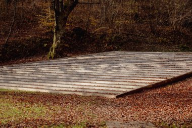 Parkın ortasında taş ve betondan yapılmış geniş merdivenler ormana tırmanıyor. Slovenya 'nın Ljubljana kentindeki tivoli parkındaki bir açık hava tiyatrosunun parçası.