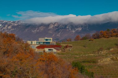 Vineyards and breathtaking views of the village of Erzelj above vipava valley, with visible mountain region in the background clipart