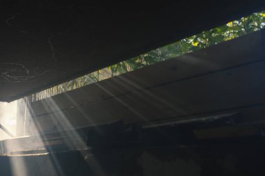 Güneş çizgileri ya da ışınları evdeki bahçedeki sisi delip geçiyor, güneş ışığı balkondaki yaprakların arasından geçiyor. Yaprakların arasından gün ışığı ya da güneş ışığı