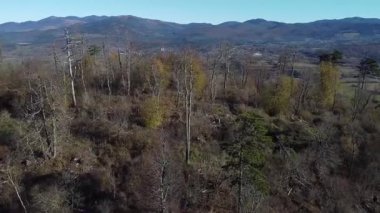 Sabahın erken saatlerinde Pivka Vadisi 'nin insansız hava manzarası. Sloven notranjska ya da primorska bölgesinin güzel manzarası.