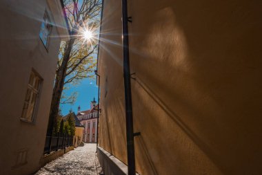 Tallinn 'in ortaçağ Eski Kenti Estonya' sında, sıcak güneş ışığıyla yıkanmış manzaralı bir kaldırım taşı sokağı. Güneş bahar yaprakları arasında parlar, renkli tarihi binaların üzerine uzun gölgeler bırakır ve barışçıl bir Avrupa sokak sahnesi yaratır.