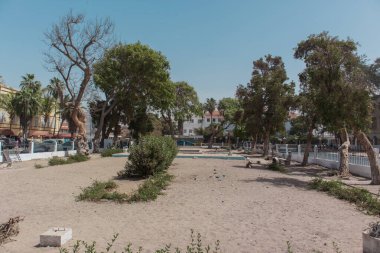Saint-Louis, Senegal 'deki park, dağınık çalılar, olgun ağaçlar ve palmiye ağaçları olan kumlu arazilere sahip. Bazı bankları, küçük bir çeşmesi ve açık mavi gökyüzünün altındaki binaları olan kuru, açık bir yerleşim yeri var..