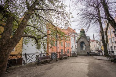 Tallinn 'deki Roheline Turg' un üzerinde yeşil bir kubbe bulunan küçük bir şapeli vardır. Şeftali renkli tarihi binalar, eğimli ahşap bir yapı ve sokak tabelaları bulutlu bir gökyüzünün altında duruyor, ortaçağ cazibesiyle şehir yaşamını harmanlıyor...