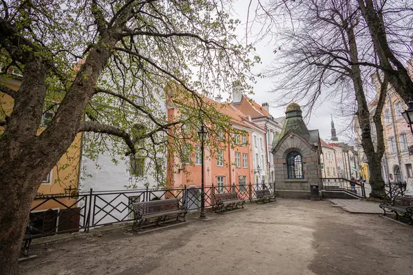 Tallinn 'deki Roheline Turg' un üzerinde yeşil bir kubbe bulunan küçük bir şapeli vardır. Şeftali renkli tarihi binalar, eğimli ahşap bir yapı ve sokak tabelaları bulutlu bir gökyüzünün altında duruyor, ortaçağ cazibesiyle şehir yaşamını harmanlıyor...