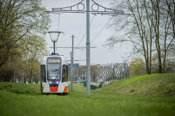 Tallinn 'deki modern tramvay bulutlu bir gökyüzünün altındaki çimenli bir alanda raylar üzerinde seyahat ediyor. Ağaçlar ve modern binalar arka planda, doğanın ve kentsel gelişimin şehirlerin karışımını sergiliyorlar...