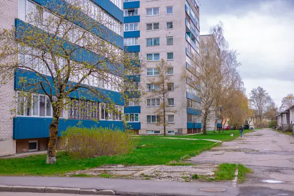 Narva yerleşim bölgesinde mavi aksanlı çok katlı tuğla binalar, ilkbahar tomurcukları olan çıplak ağaçlar ve çimenli bir avlu bulunuyor. Kırık bir yolda, bulutlu bir gökyüzünün altında sonbahar renklerinde bir köpek gezdirir..