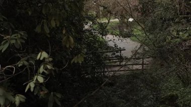 Dar bir yolda, yemyeşil bir ormanda, sık yapraklar ve dallarla. Yoldan tahta bir çit geçiyor ve yakınlarda küçük bir işaret levhası duruyor. Bu da bir patika ya da doğa koruma alanı olduğunu gösteriyor..