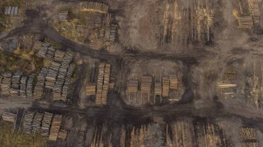 Çek Cumhuriyeti 'nde bir kereste deposunda düzgünce istiflenmiş odunların hava görüntüsü. Toprak yolları ve dağınık bitki örtüsü insansız hava aracı tarafından ele geçirilmiş. Topraksı tonlar ve organize yığınlar çarpıcı bir sanayi manzarası yaratıyor..