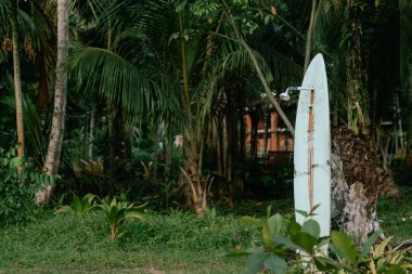 Playa Cocles, Kosta Rika 'da yemyeşil, tropik bir yerde duran duş başlığıyla yıpranmış bir sörf tahtası. Palmiye ağaçları, yoğun yeşillik ve bir anlığına da olsa deniz kenarında doğal güzelliğe sahip bir çevreye benziyor..