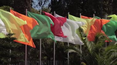 Renkli bayraklar yeşil, kırmızı, turuncu, beyaz, sarı direkler üzerinde dalgalanıyor ağaçlar ve palmiyelerle birlikte. Sahne parlak, gündüz kuşağını çağrıştırıyor, doğal bir arka planı var..