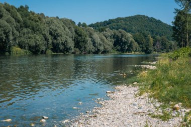 Ptuj yakınlarındaki Drava Nehri 'nin sakin manzarası, kayalık, çimenli bankalar arasında akan durgun mavi su. Yoğun yeşil ağaçlar, berrak mavi gökyüzünün altındaki ufuk çizgisinde huzurlu bir doğal manzara yaratırlar..