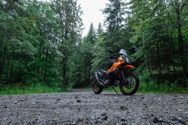 Canlı turuncu bir motosiklet, yemyeşil yemyeşil ile çevrili, yağmurlu bir orman patikasında duruyor. Bu sahne maceranın heyecanını ve doğanın güzelliğini temsil ediyor..